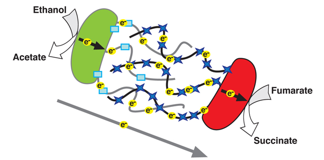 Pictures Of Electrons