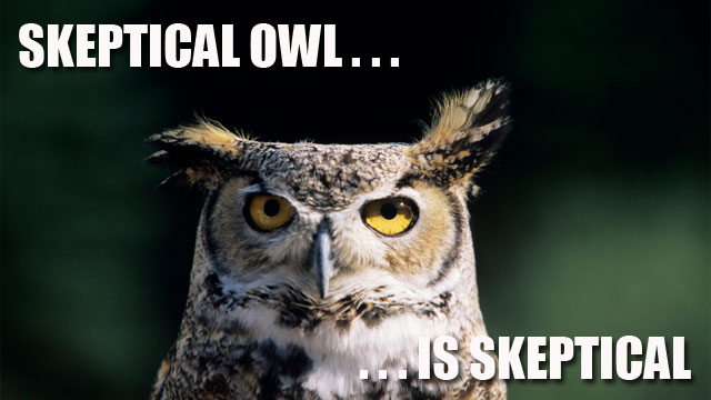 skeptical_owl-ars.jpg