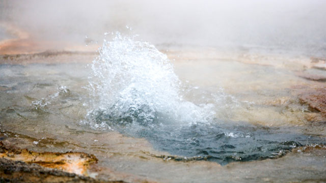 photo of Massive genome analysis suggests life began in hot springs image