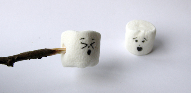 mischel marshmallow