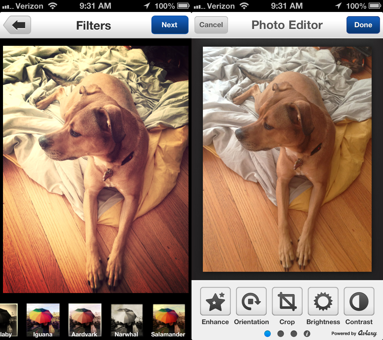 Alternatives to Instagrams selling images for revenue