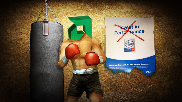 amd-boxer-training.jpg