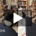 Video: Edit your photos like a boss, the Ars way