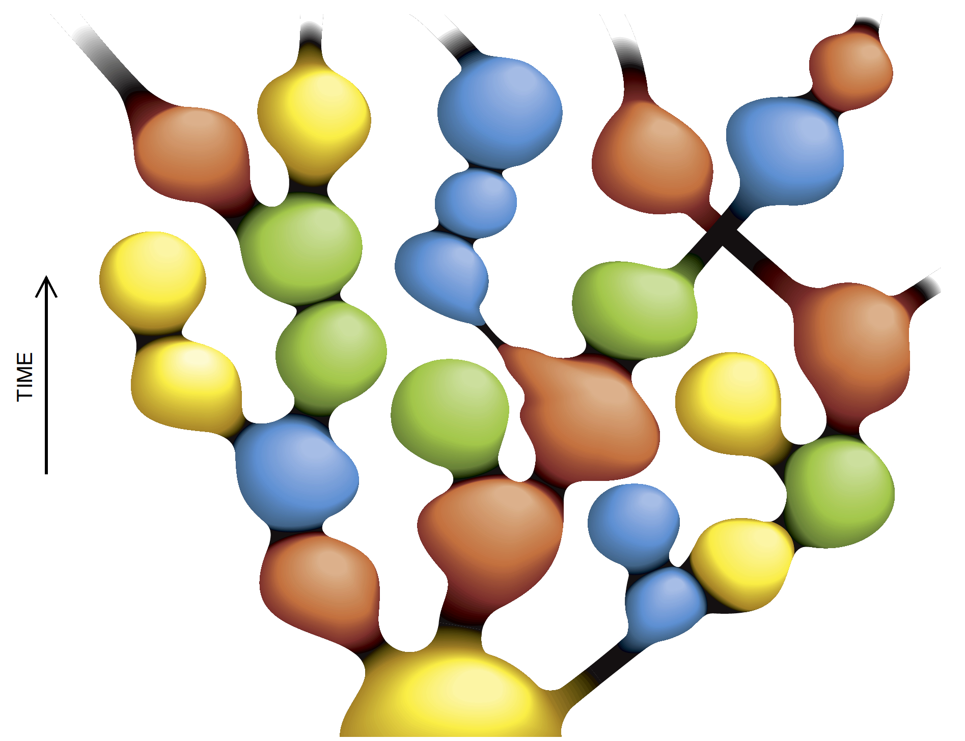 Does the Big Bang necessarily mean we’re part of a multiverse? | Ars Technica