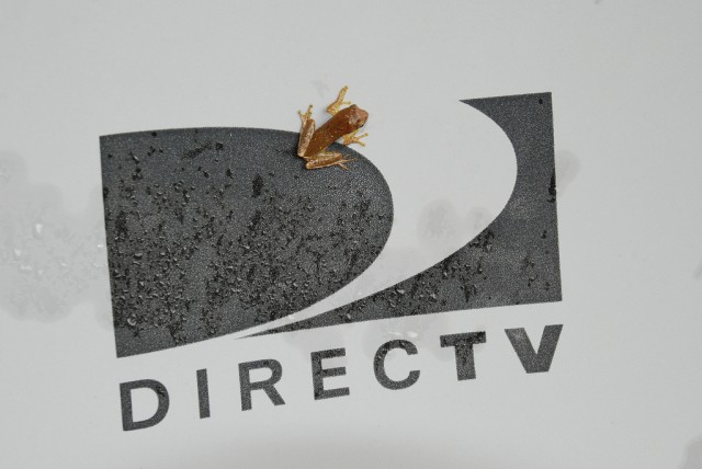 photo of DirecTV will broadcast live 4K content by “early next year” image