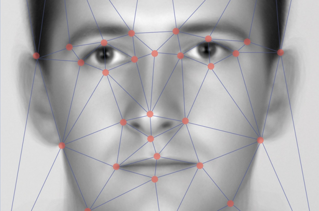 biometric face recognition system