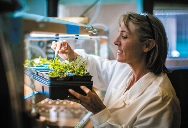 Hope Jahren checks the status of plants in her lab.