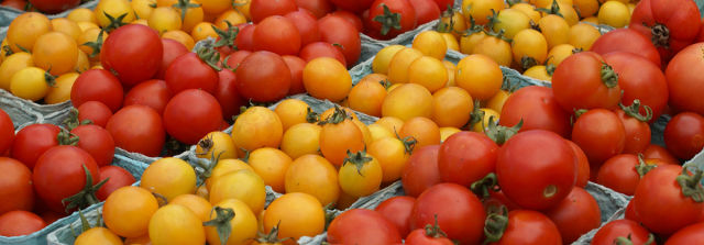photo of Getting tomatoes to ripen without going soft image