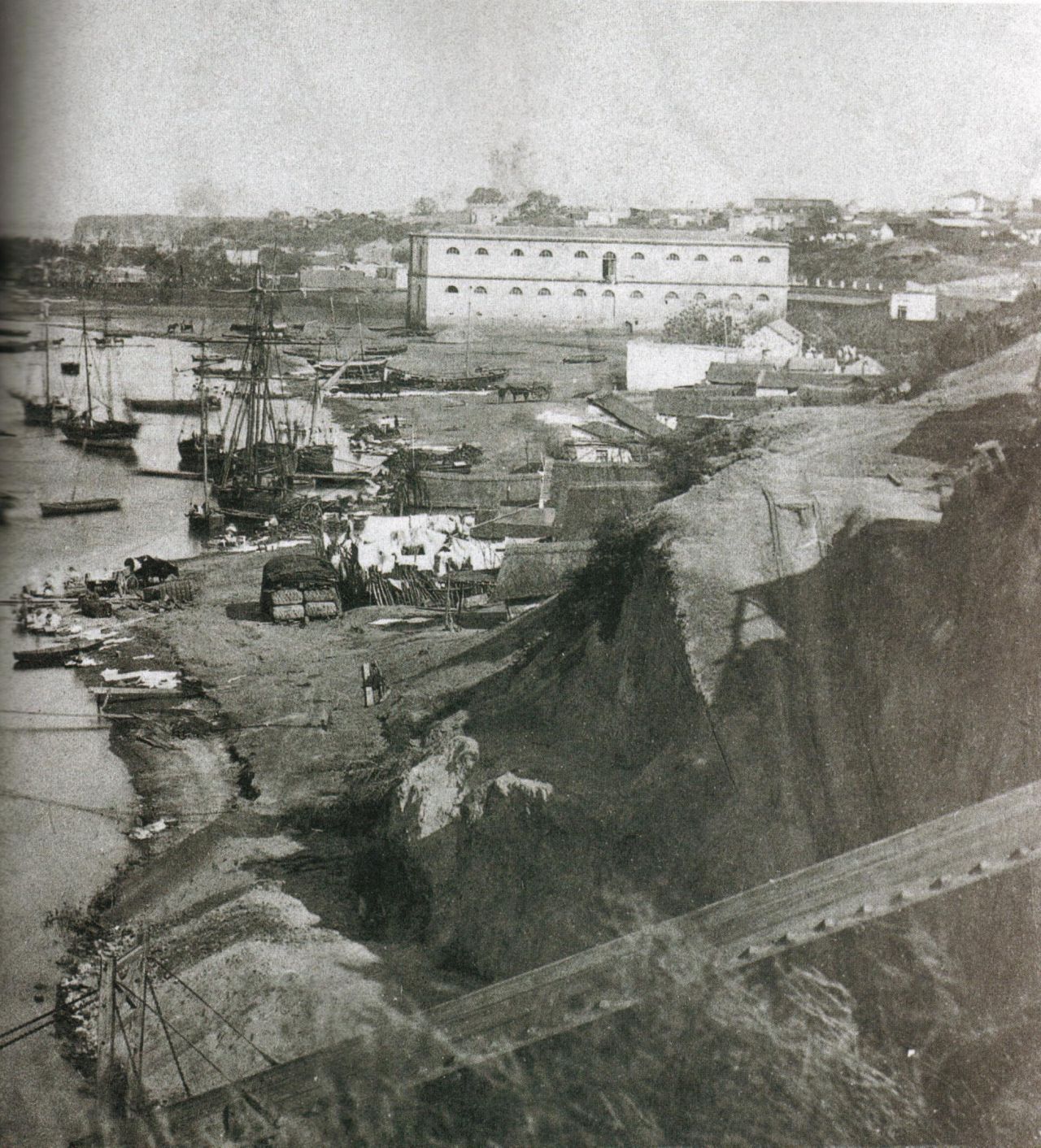 Puerto Rosario in 1868, when Argentine ants probably started getting on board and finding their way into the world. Genetic analysis reveals that most Argentine ants in the world can trace their lineage back to ants living near this port.