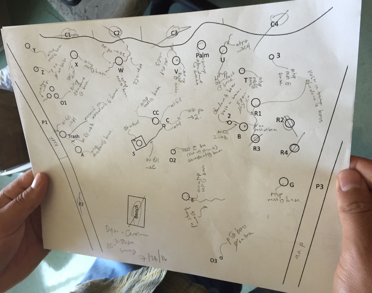 Dylan MacArthur-Waltz holds an Argentine ant map, part of his research in Deborah Gordon's lab at Stanford University.