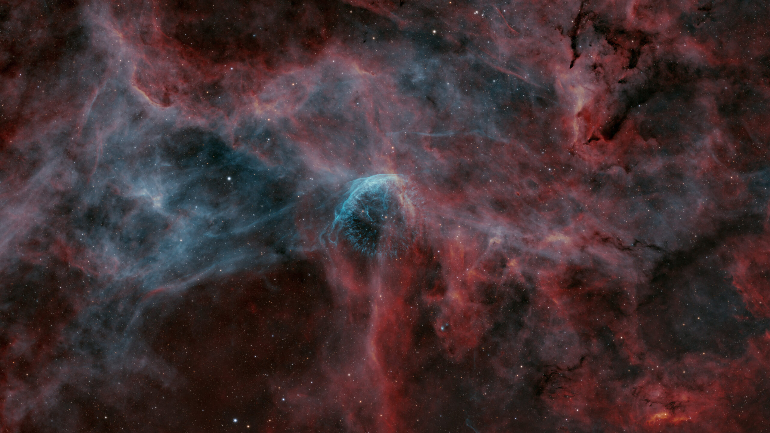 Tuesday Telescope: A howling wolf in the night sky Tuesday Telescope: A howling wolf in the night sky