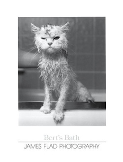 'Bert's Bath' led to lawsuits.