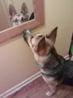 IMG_20121006_022845.jpg