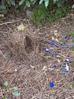 IMG_1013.jpeg