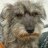 McRuff
