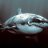 SiLv3rShArK