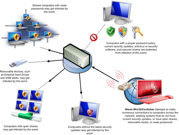 customizable network worm virus download