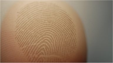 Probing fingerprints' tactile functions - Ars Technica