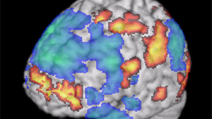 Finding the fear and love of God inside the brain | Ars Technica
