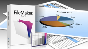 filemaker pro 11 examples