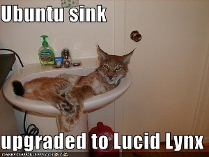 MY LYNX IS LUCID. LET ME SHOW YOU IT.