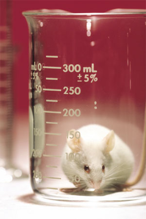 What scientists really think about animal research 