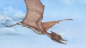 crested pterosaurs