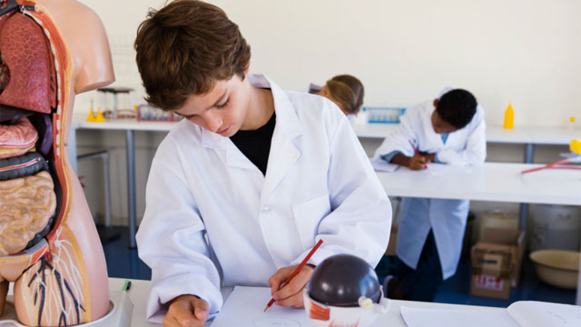 What i learned in science essay image