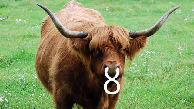 Windows 8 for software developers: the Longhorn dream reborn?