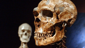 Neanderthal cannibalism is less surprising than you think