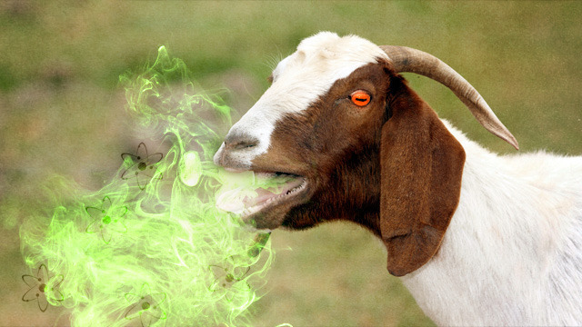 Weird Science avoids “professional exposure to goats” | Ars Technica