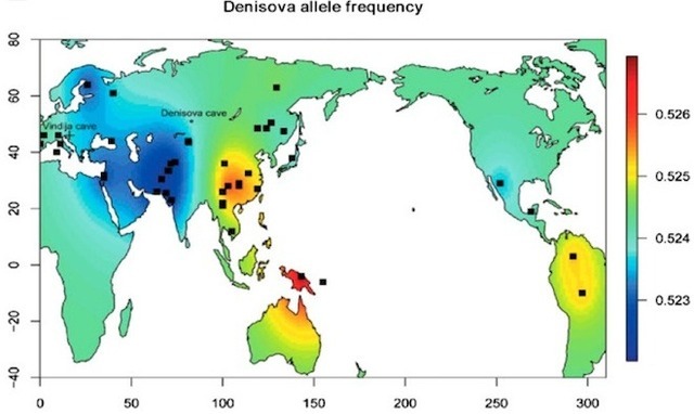 Global map of Denisovan gene frequency in modern human genomes