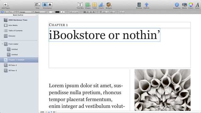 Enthusiasm for iBooks Author marred by licensing, format issues