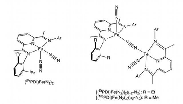 Bis(imino)pyridine iron dinitrogen complexes used to replace precious metal catalysts