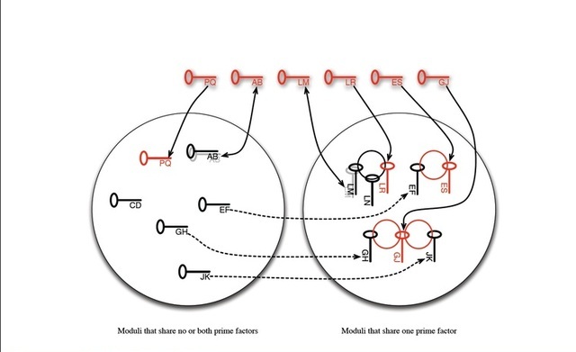 Keys that share one prime factor are vulnerable to cracking by anyone. Keys that share both prime factors can be broken by the other holder.