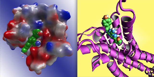 Simulated images of compounds studied in pharmaceutical research