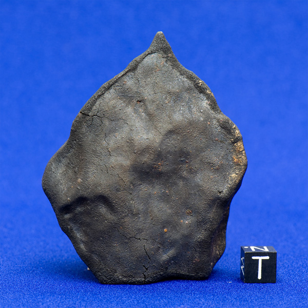 A fragment of the Murchison meteorite.