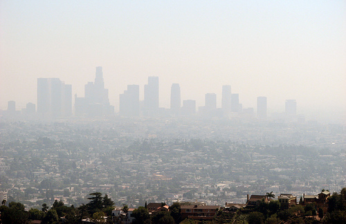 LA smog: more cows than cars? - Ars Technica