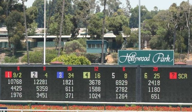 A nag running at Hollywood Park might have better odds at being in the money than Oracle