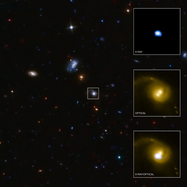There are two bright clusters near the center of the galaxy in question, but only one of them emits the X-rays associated with a black hole.