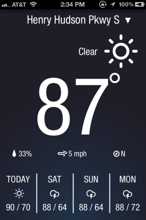 WeatherNeue is pretty clear and offers both precipitation and wind direction. Other than that, it's pretty bland.