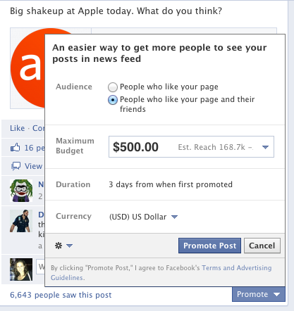 The promote-a-post window on Facebook for a fan page.