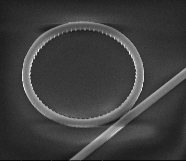 Scanning electron microscope image of a silicon device that twists photons into helical shapes. The light is sent into the 8-micron-diameter ring shown, which produces a twisted wave shape that is emitted perpendicular to the ring.