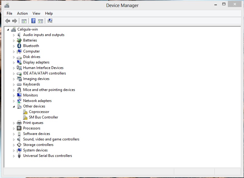 coprocessor missing driver