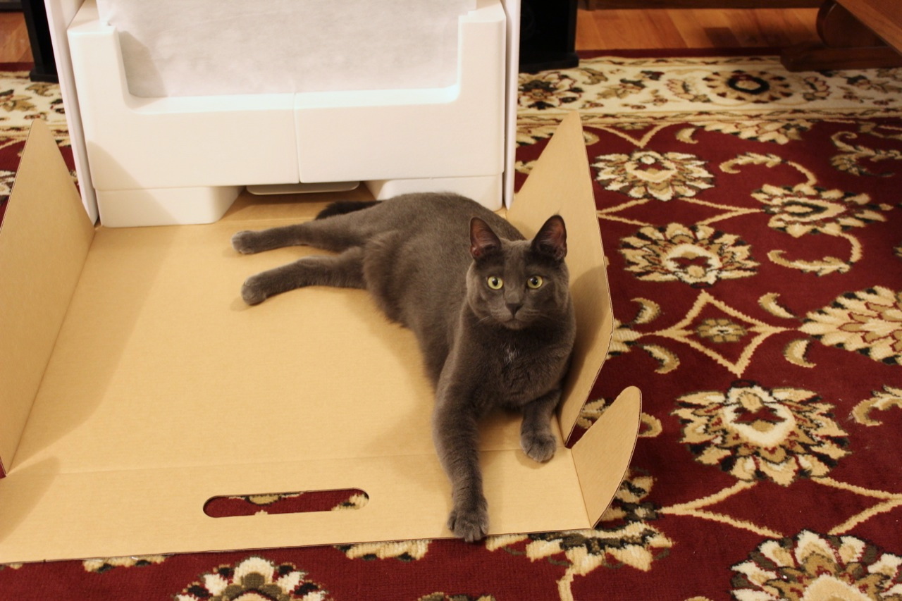 Taking the new iMac out of its weird-shaped box - Ars Technica