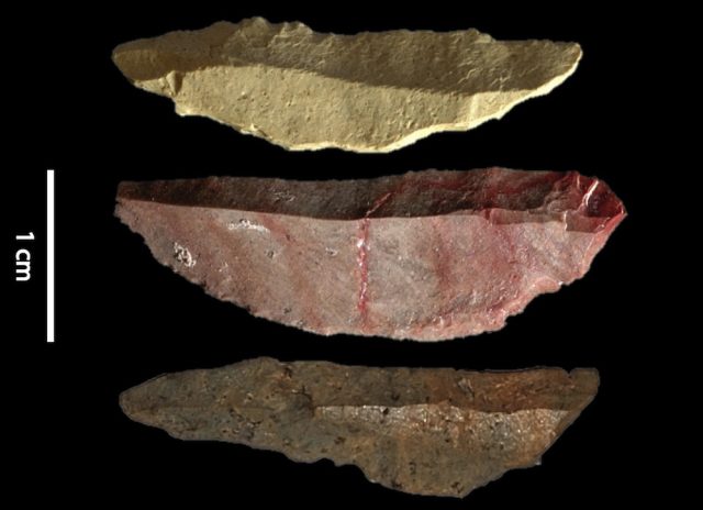 Stone tools hint at the origins of the modern human mind