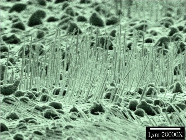A micrometer dwarfs the width of these nano-structures.