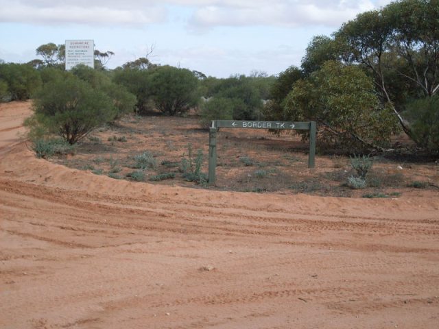 The edge of Murray-Sunset National Park on the border of South Australia and Victoria.