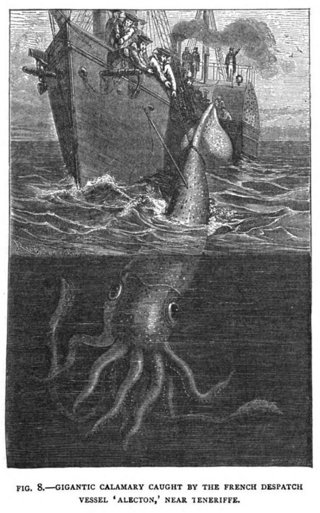 Release the kraken! 2,000 years of tall tales (and a smattering of
