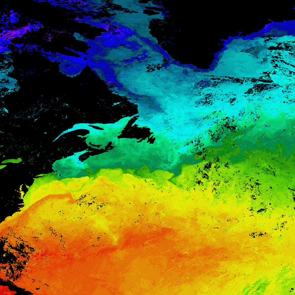 Tag: ocean currents - Ars Technica